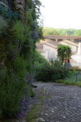 chemin mignon