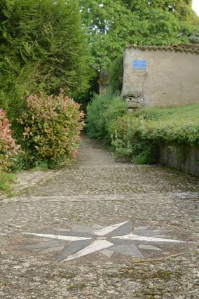 rose des vents